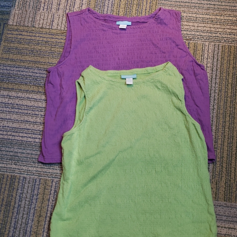Jennifer Moore Womans Sleeveless Tops Bundle Of 2 - Purple And A Green